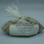 Eucaplytus feuille
